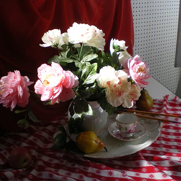 Photography with Bill Ray