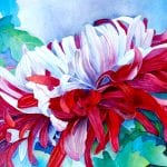 Watercolor of Chyrsanthimum